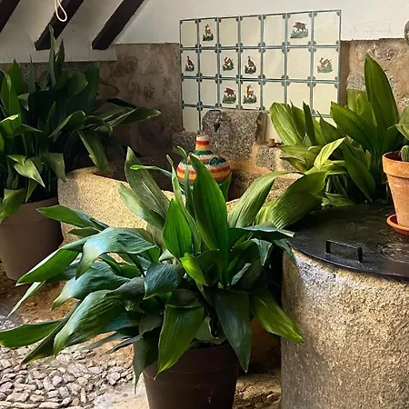 Holiday home Casa Cuqui Orgaz